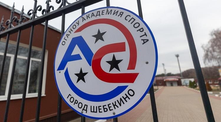 Фото: Алексей Дацковский