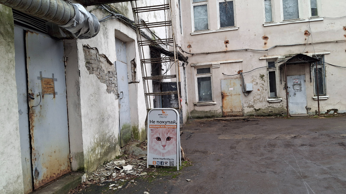 Идём в "Муркошу"