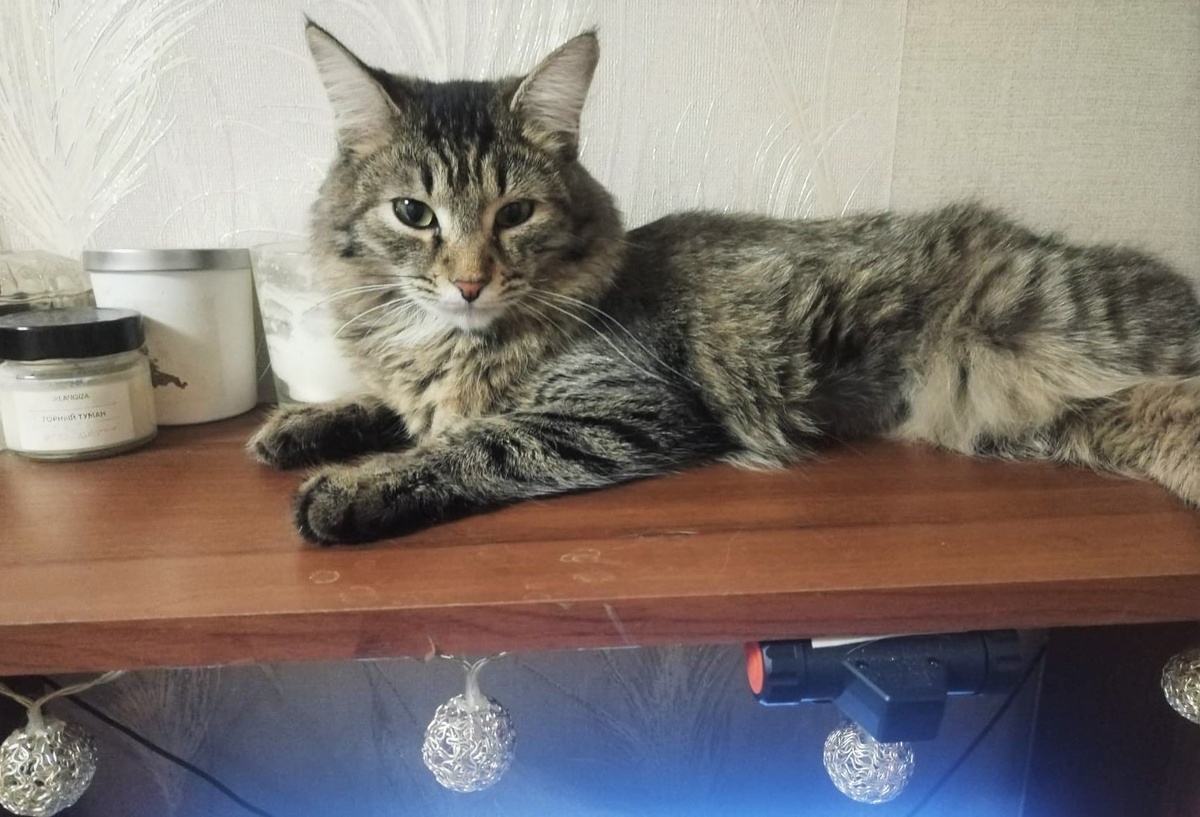 Свежий фотопривет из архива Человвеки)