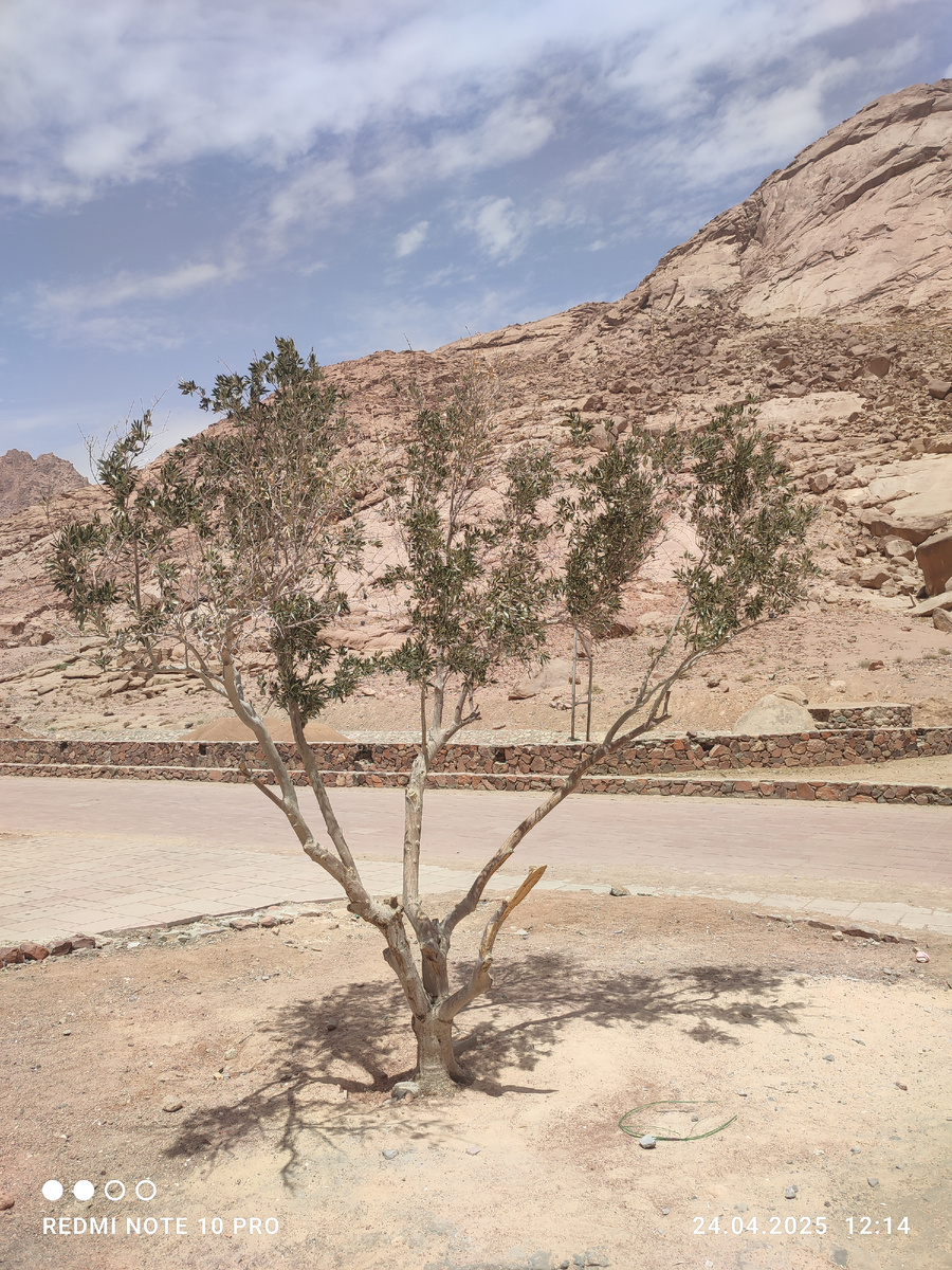 Личное фото автора