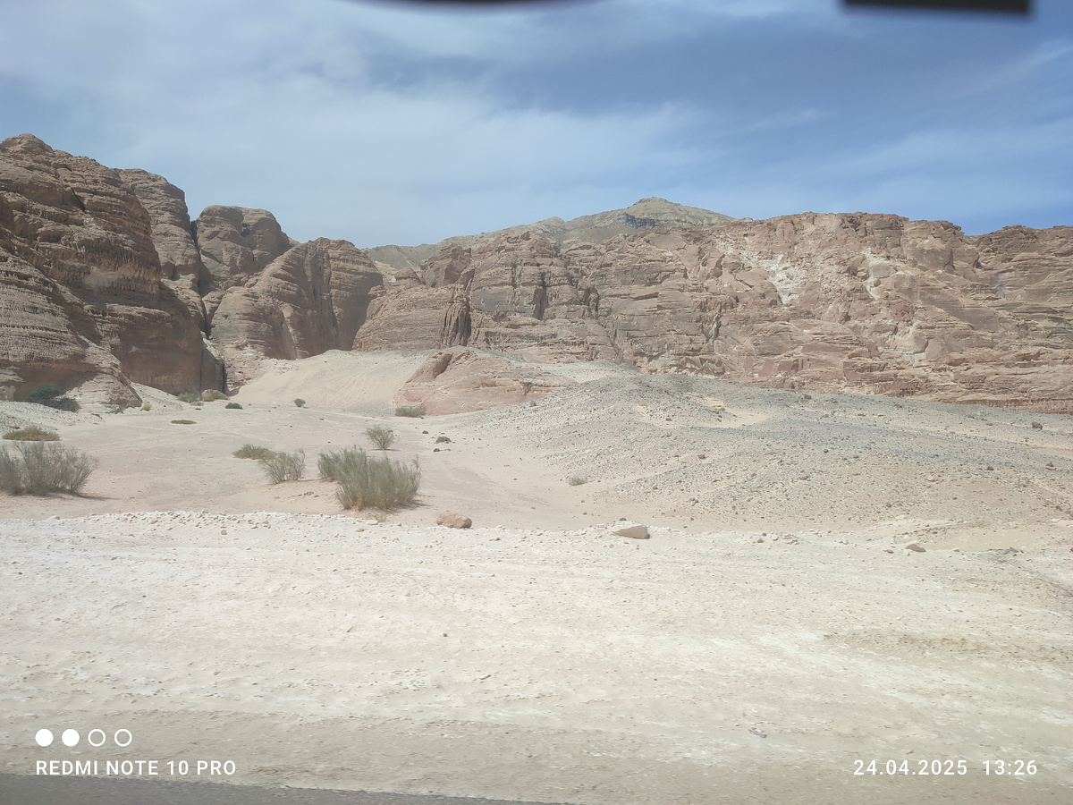 Личное фото автора