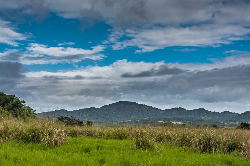 Где-то между Иннисфэйл и Кеенсом, Квинслэнд, Австралия; фото (как и следующие) из домашнего архива