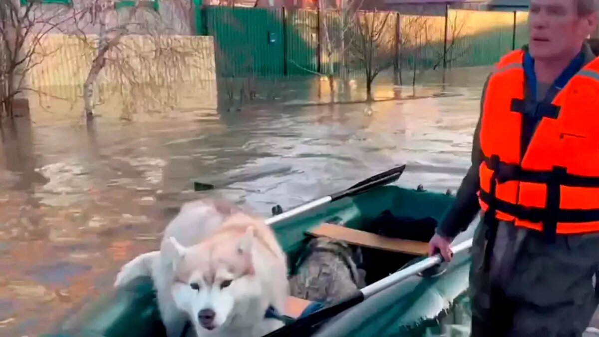    кадр из видео