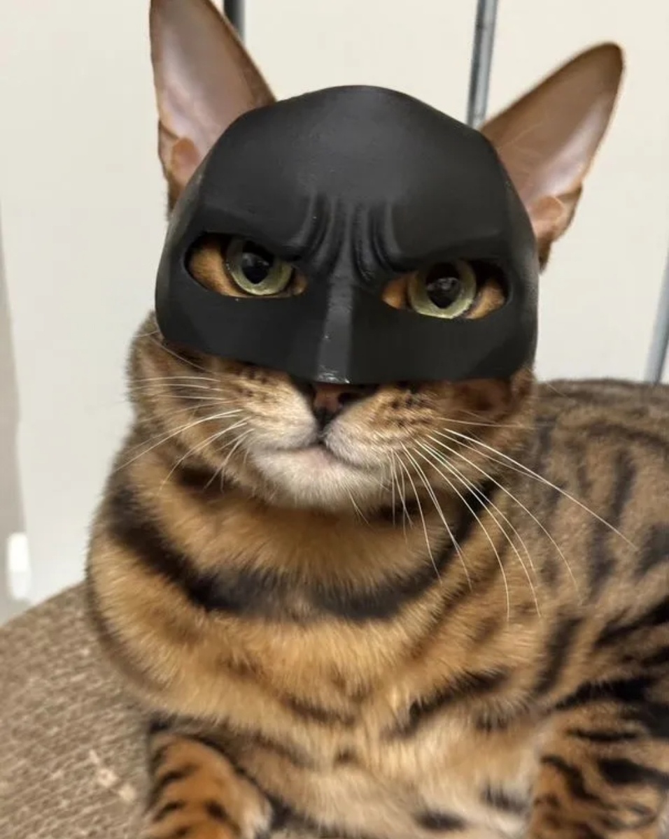 Потребитель вынужден выстраивать собственные защиты, чтобы отфильтровать избыточную информацию "льющуюся на него". 