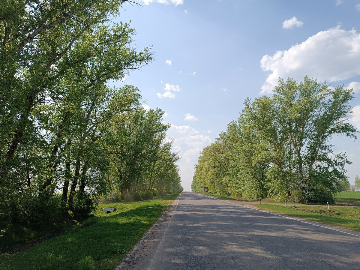 Зазеленело всë очень быстро