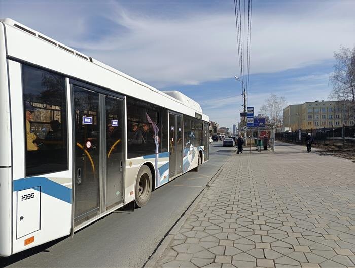    ФОТО: Ламзина Александра