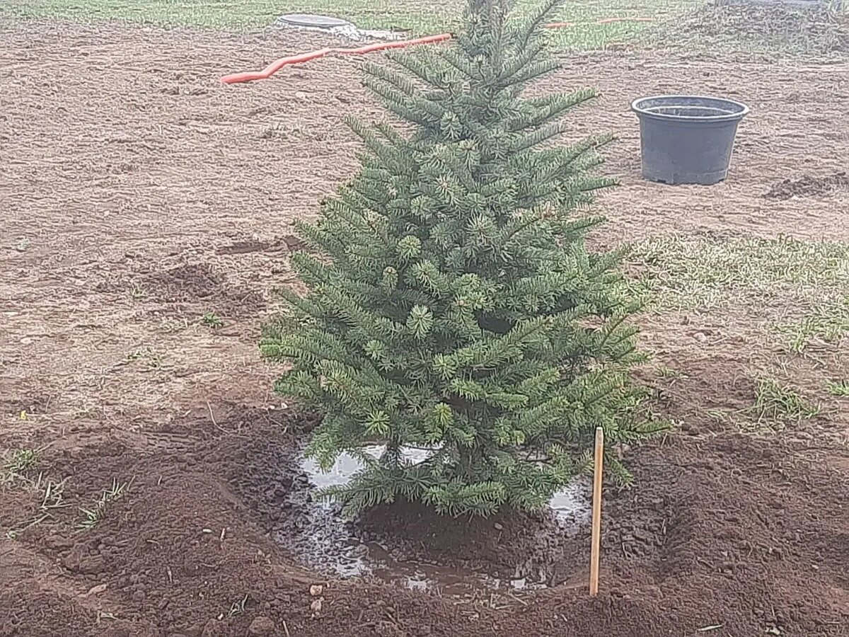    Фото: Мойка78