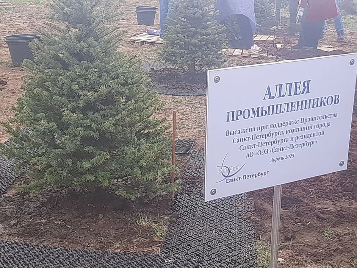    Фото: Мойка78