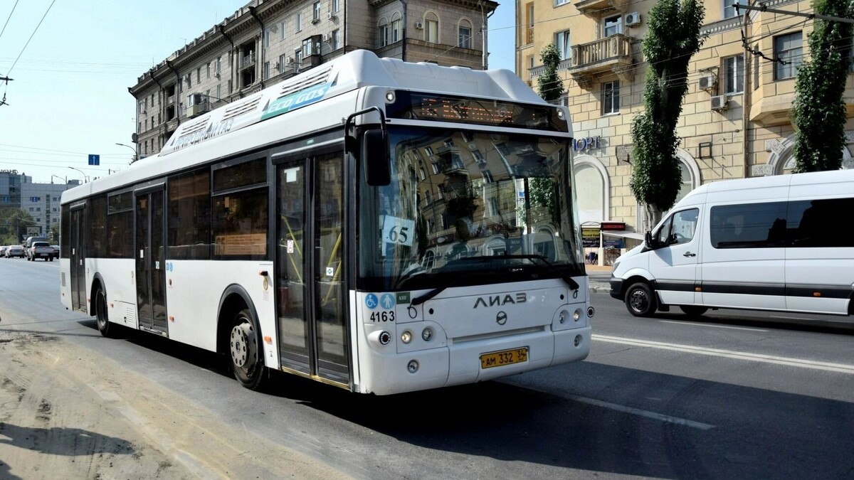     Источник: novostivolgograda.ru