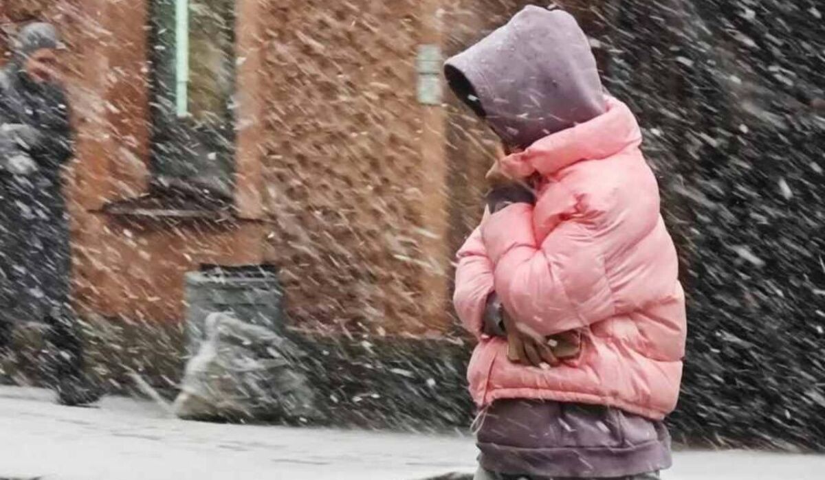     Снежная погода. Источник: kp.ru Автор фото: Алексей Булатов