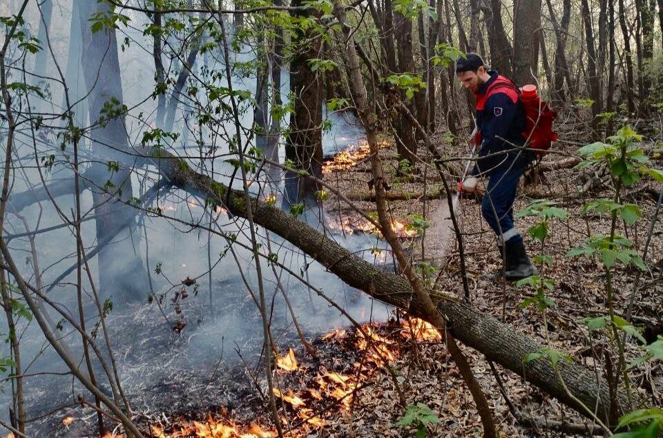    Фото: Минприроды Самарской области
