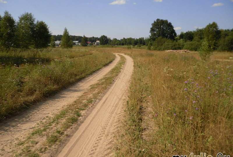 Однажды летом...(смешно)