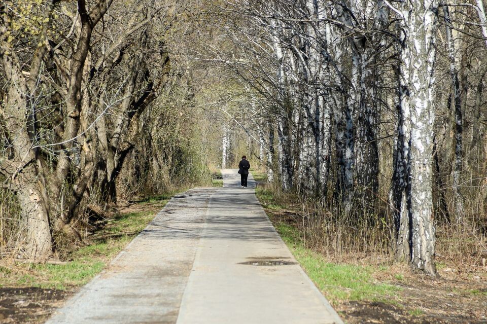    Парк "Юбилейный". Апрель 2025 года. Источник: Виталий Барабаш