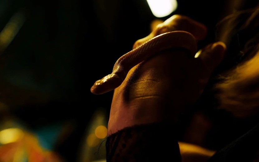    Путеводная звезда: кто по гороскопу в мае сделает прорыв в делах, а кто в любви?