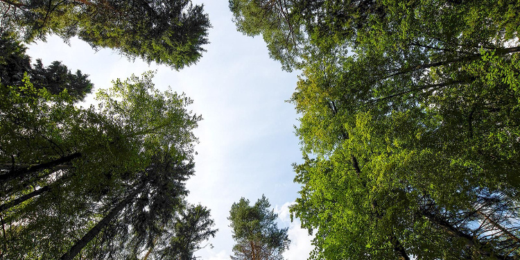    Фото: М. Денисов, mos.ru