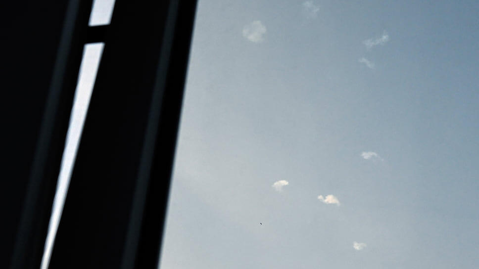 Фото: Анатолий Жданов / Коммерсантъ