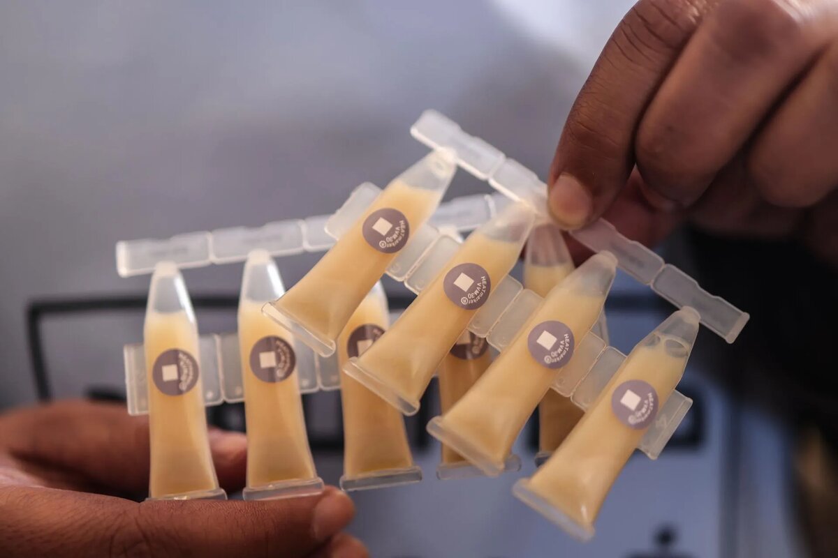 Фото: Anas Alkharboutli/dpa/www.globallookpress.com