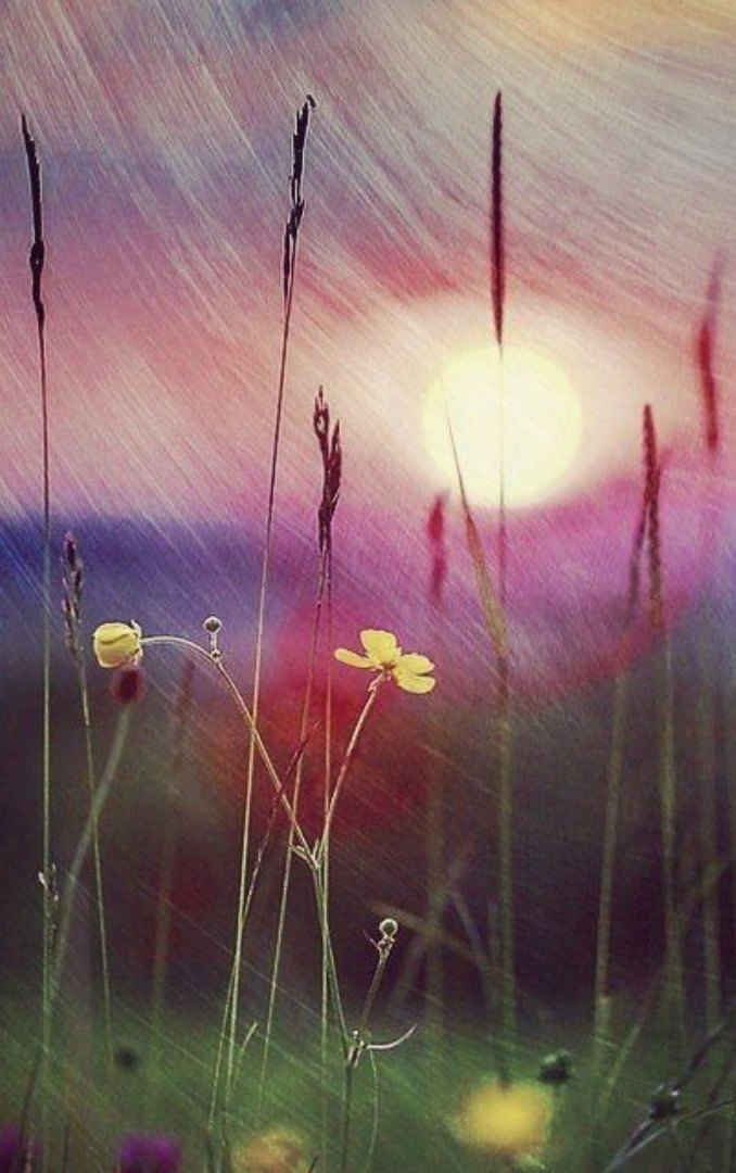 Раскалённые окна почтамта. Лирический рассказ