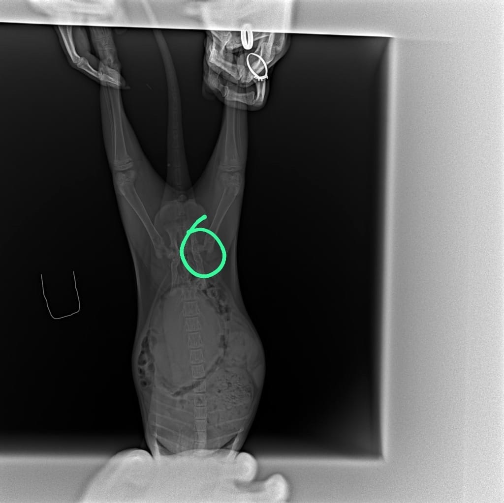 Пожалуйста, РЕПОСТ, любая помощь! 