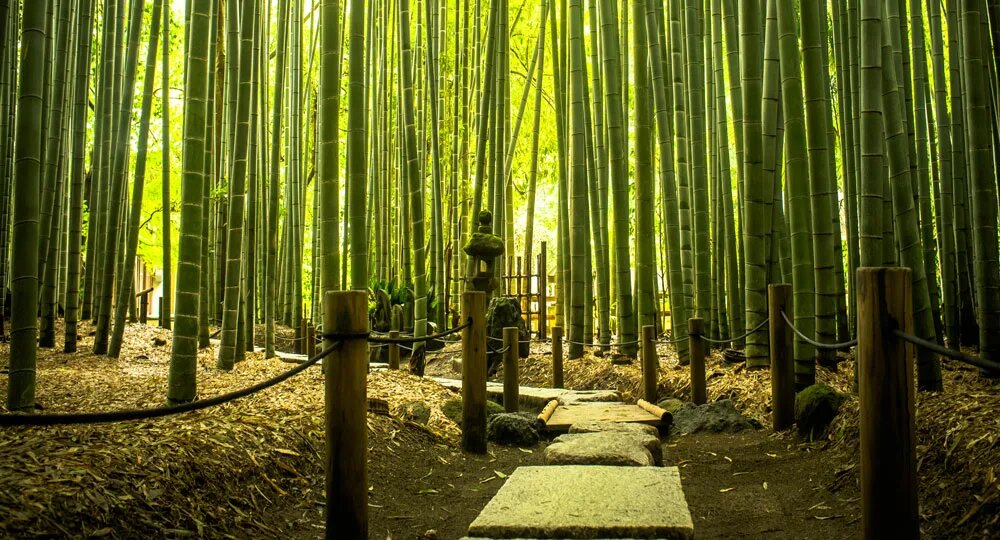 Долина Хэйчжу: тьма, окутывающая человеческие души. Часть 1