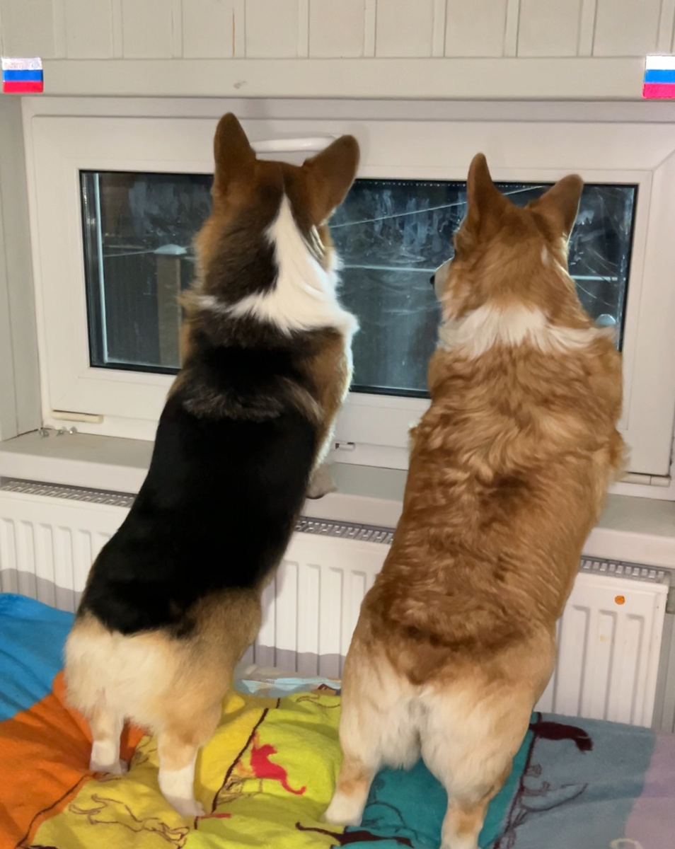 Ма, где же ты? 😔