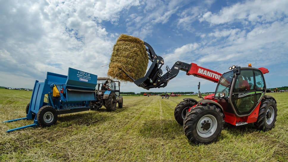 Фото: Олег Харсеев / Коммерсантъ