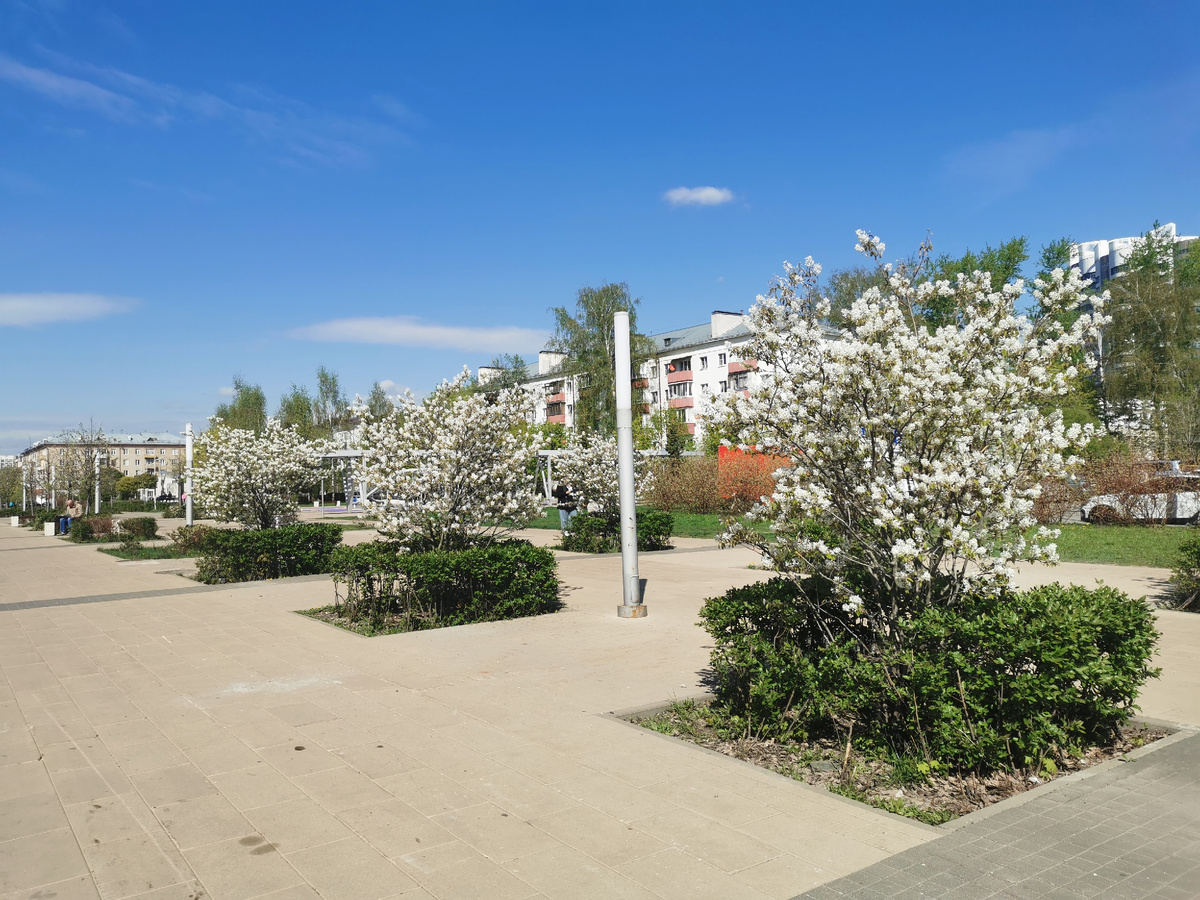 Весна на центральной площади