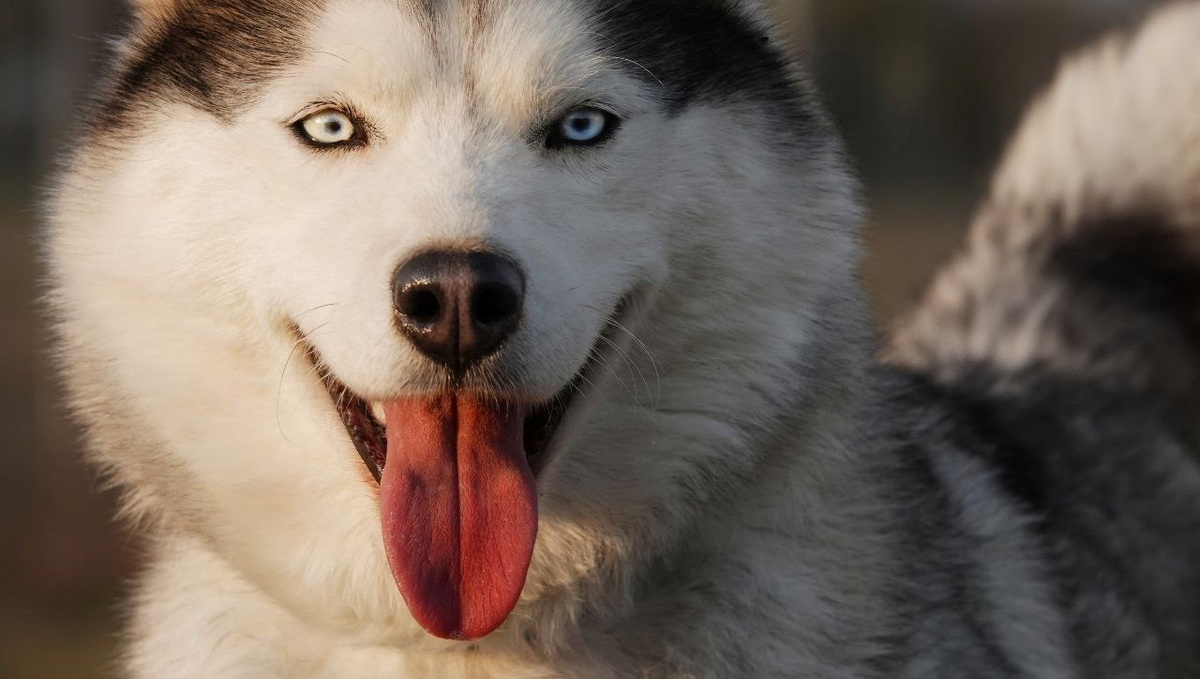 Какая она сейчас красивая!