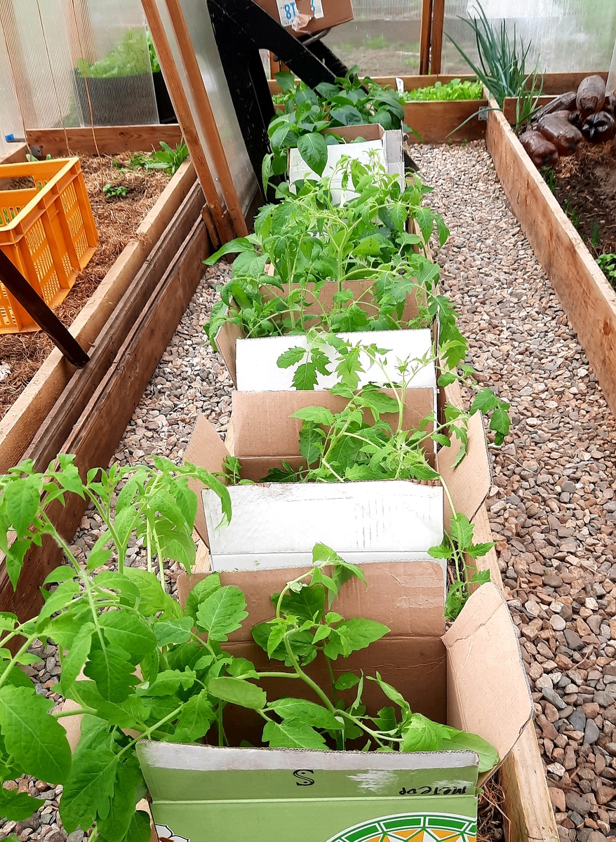 Фото автора.