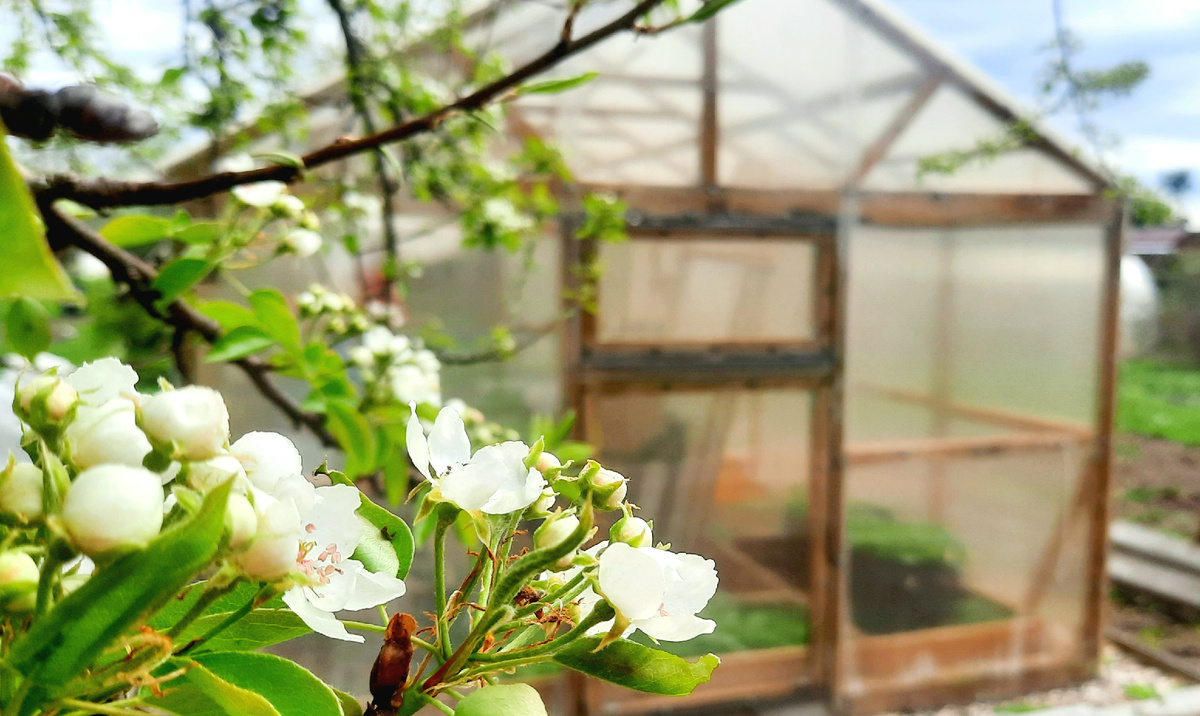 Фото автора.