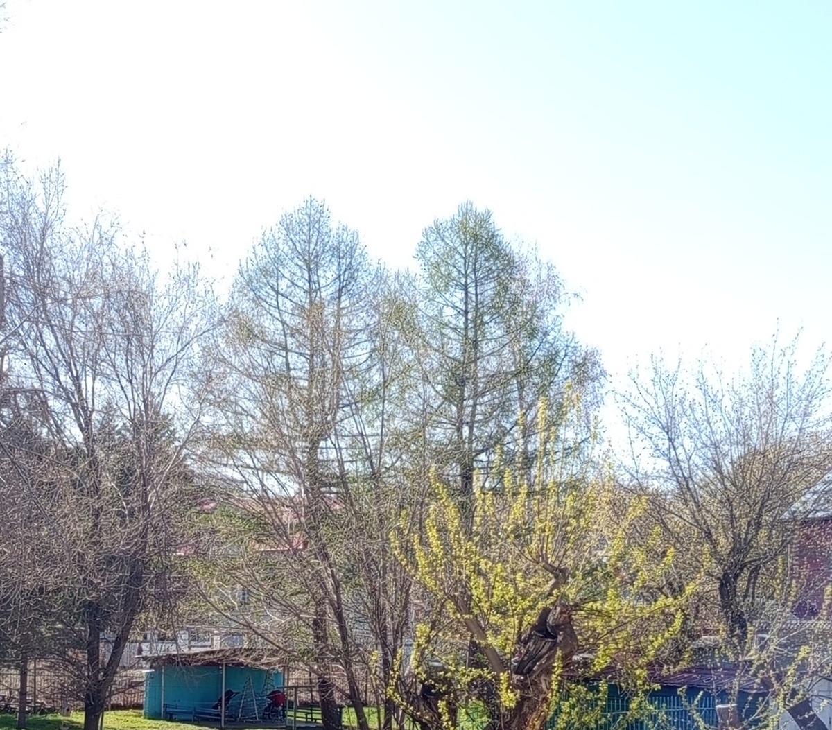 Просили фейсом пока не светить)))) вот тогда вид из окна)