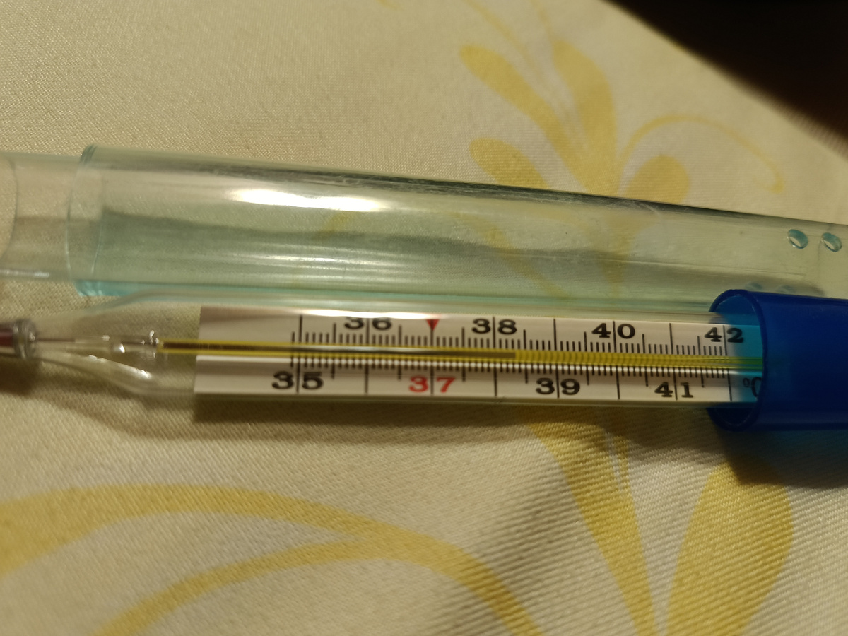 Сделала фото начальнице.