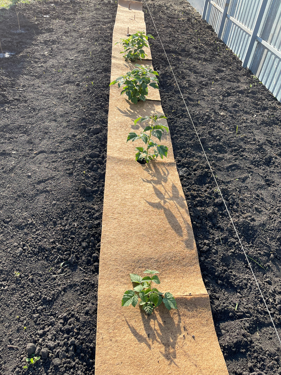 Процесс . Фото автора. 