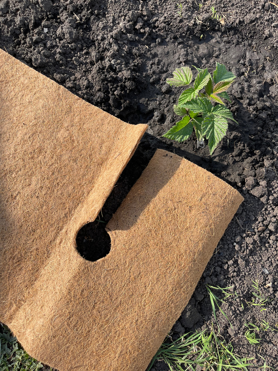 Укладываем ковер. Фото автора.