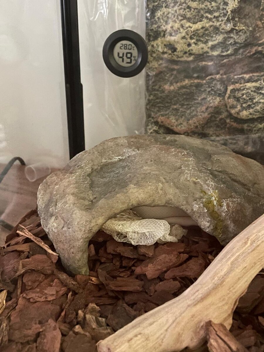 Занятие не из приятных, но ничего не поделать.