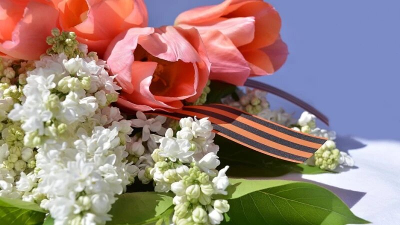     День Победы. Георгиевская лента. CC0