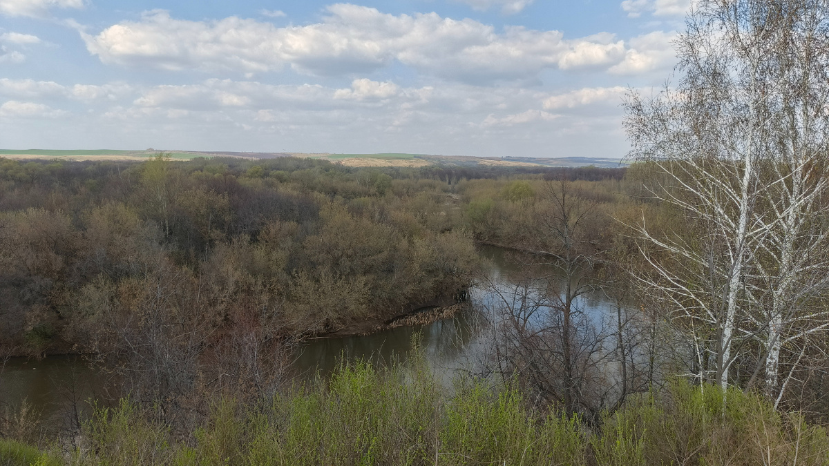 Река Большой Кинель близ посёлка Подбельск в апреле 2025 года