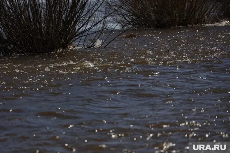 Все кладбище постепенно уходит под воду
Фото: Екатерина Сычкова © URA.RU