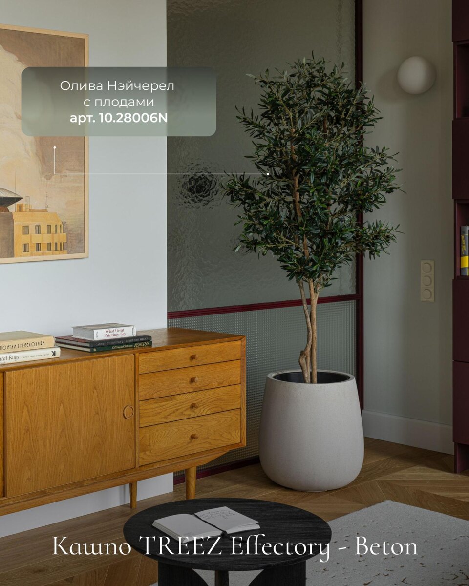 Кашпо и растения Treez Collection