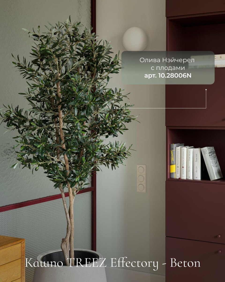 Кашпо и растения Treez Collection