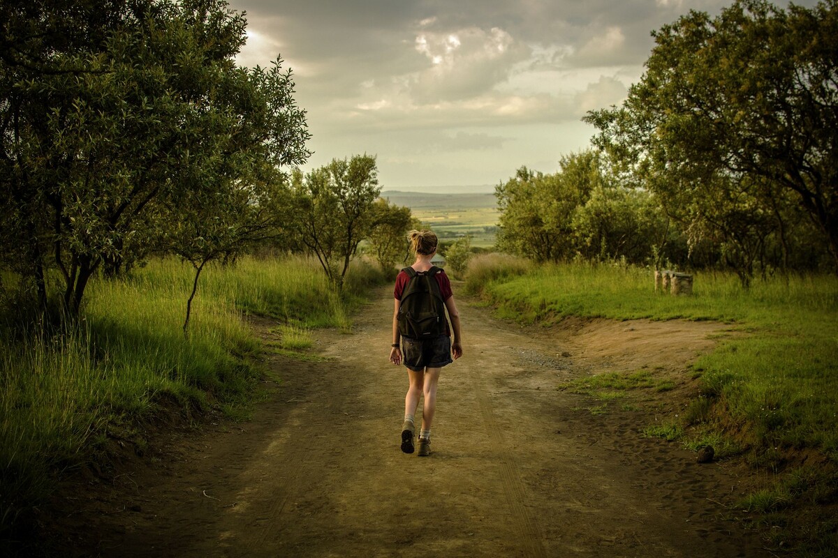 Яндекс. Картинки