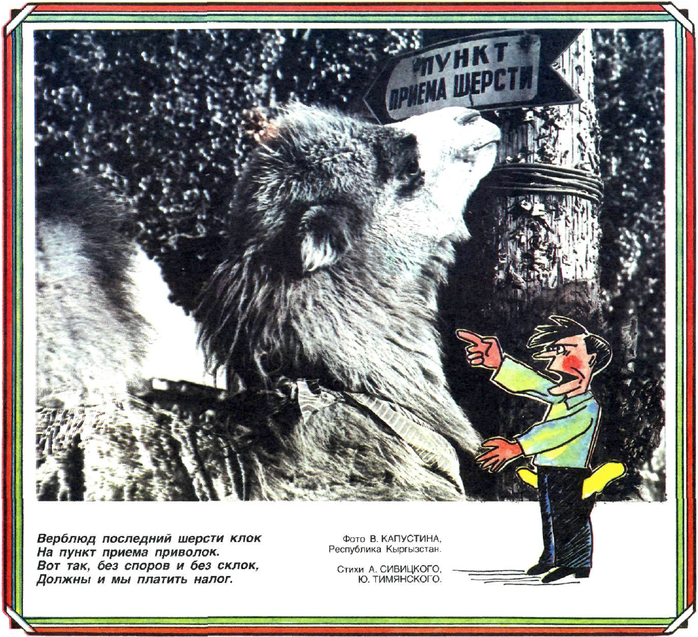Фото В. Капустина. Журнал "Крокодил" № 15 1991 год.