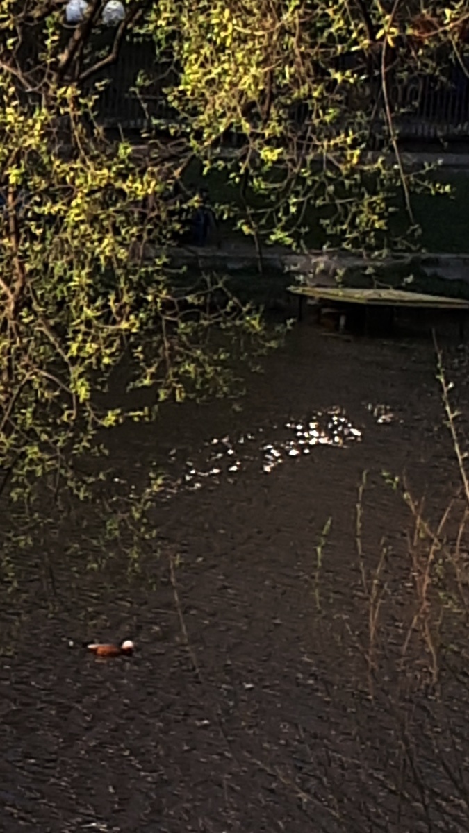 Личное фото. Апрель 2025г.