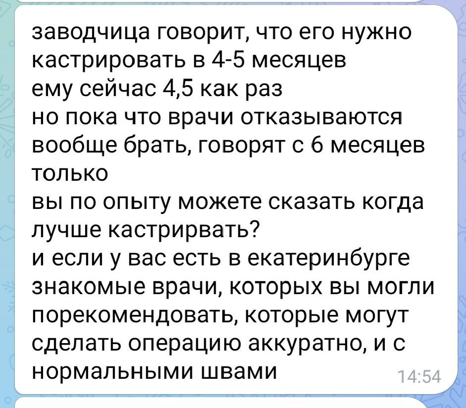 Скрин сообщения от клиента