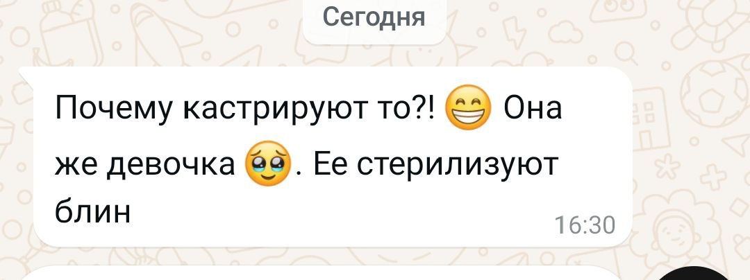 А это уже сообщение от занокомой.
