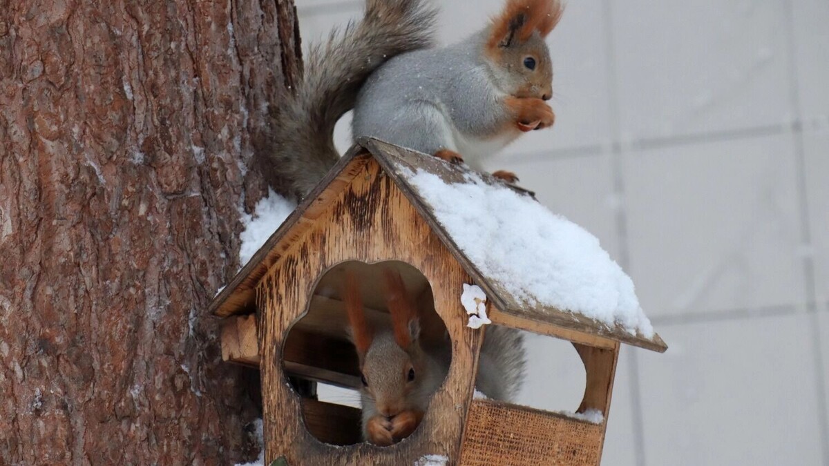     Автор: Артем Шершнев Источник: atas.info