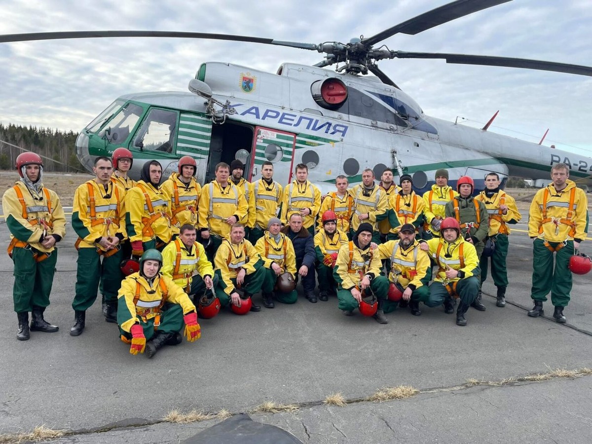    Авиалесоохрана. Фото: Минприроды Карелии