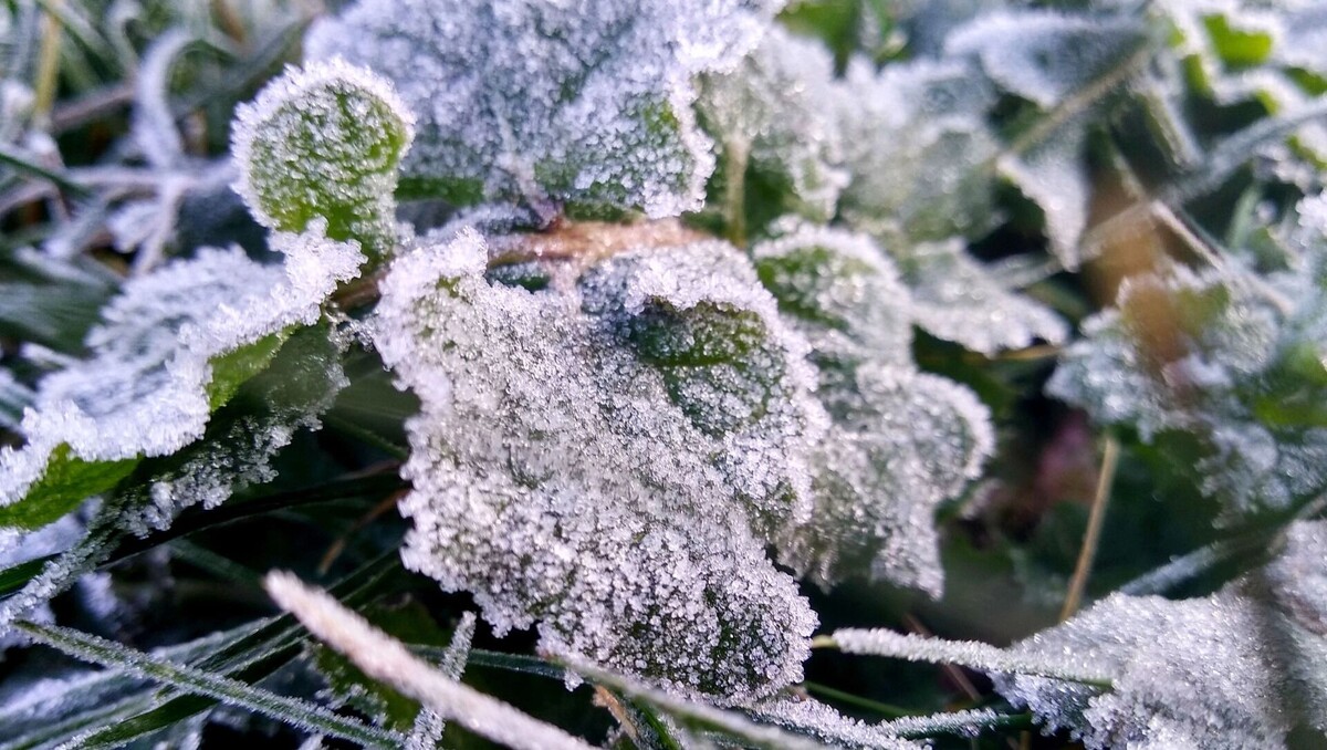     Источник: 1MI