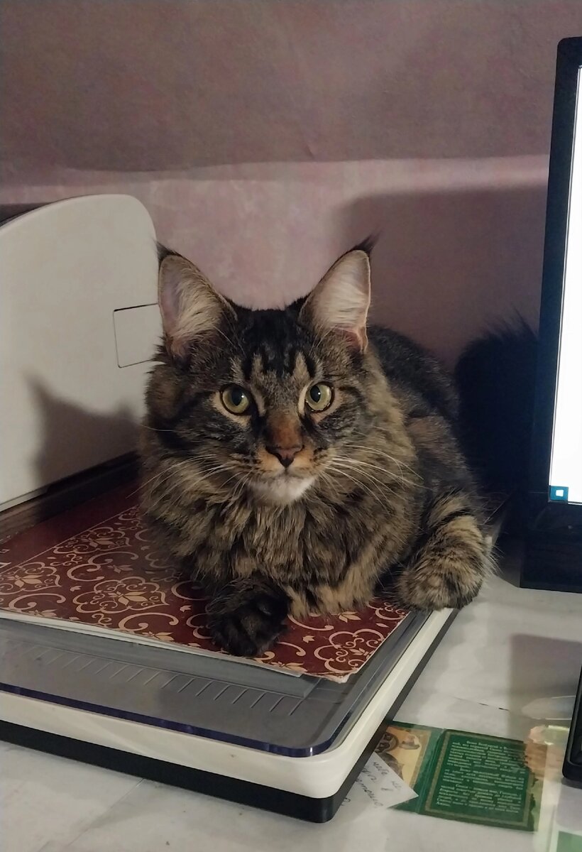 Люська всегда рядом!