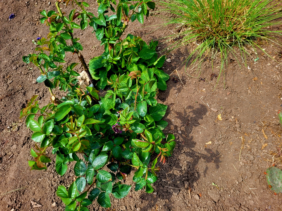 Глория выглядит лучше